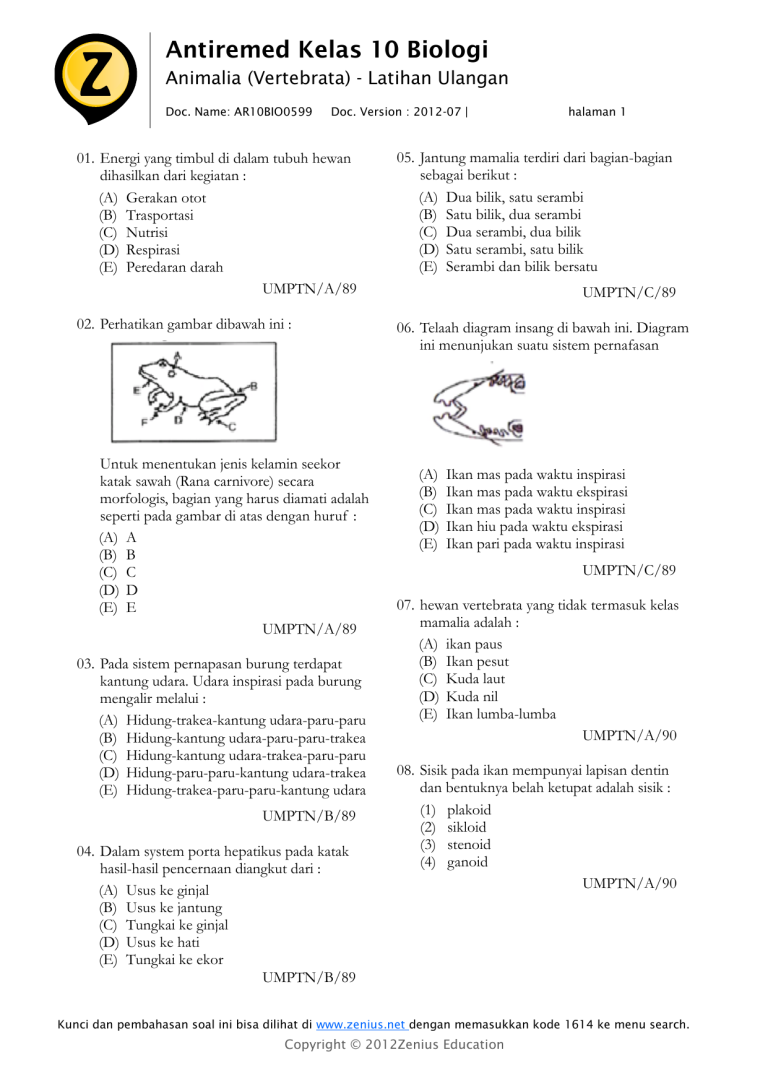 7 Rahasia Analisis Validitas Soal Biologi Kelas XI Semester 1 Agar Nilai Siswa Maksimal